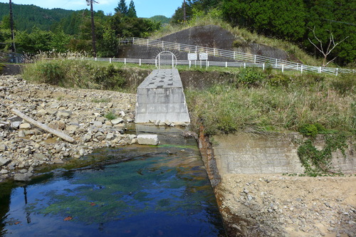P1250767