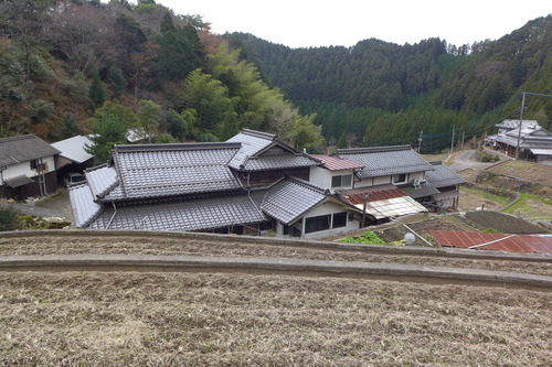 P1030241のコピー