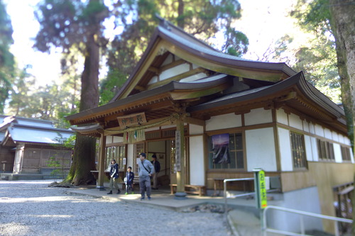 P1630407のコピー