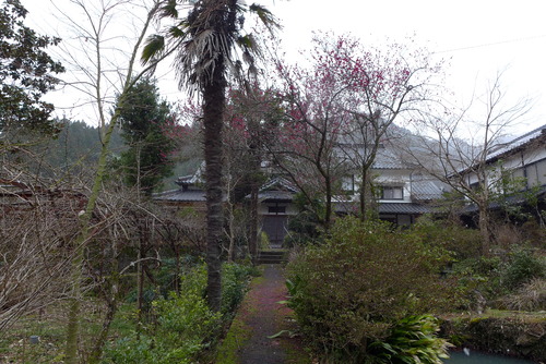 P1020739