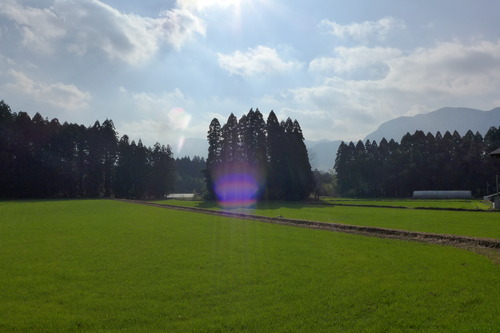 P1550255
