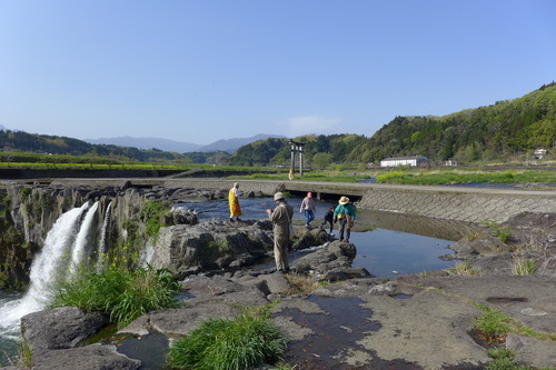 P1130146