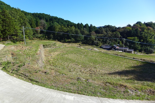 P1260155