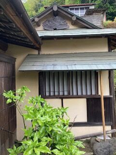 IMG_3850