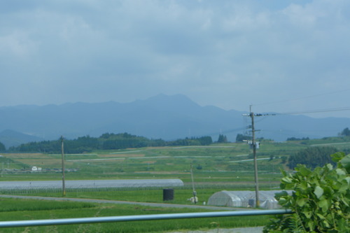 P1180619