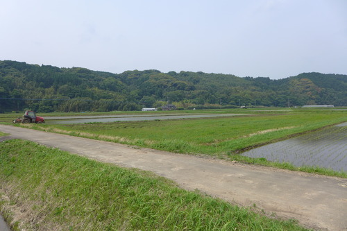 P1100816