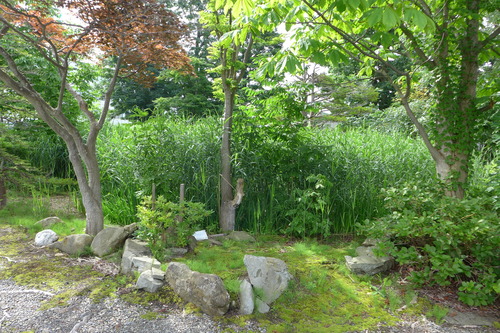 P1130045