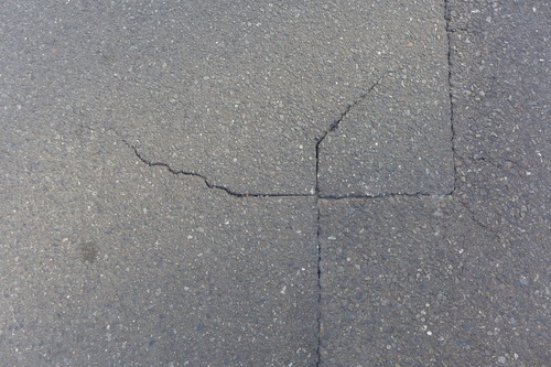 作曲家藤枝守先生モノオペラ「八雲の向日葵」公演近づく！