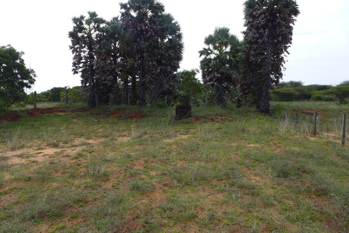 P1190956