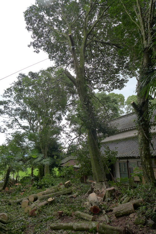 P1160850