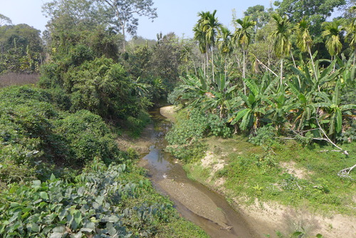 P1450584