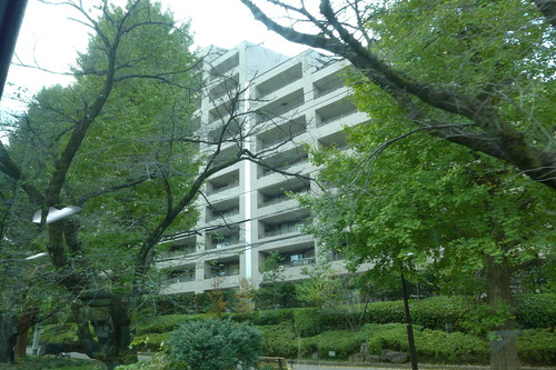 P1050208
