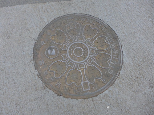 P1550264