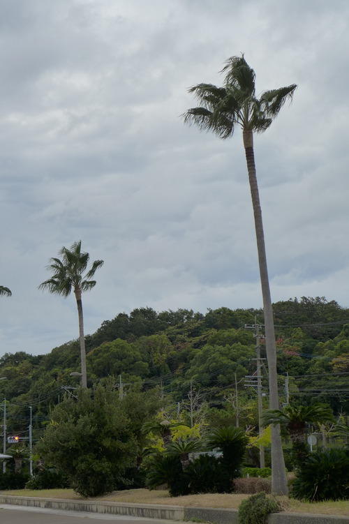 P1270568