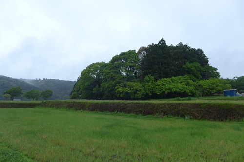P1070851