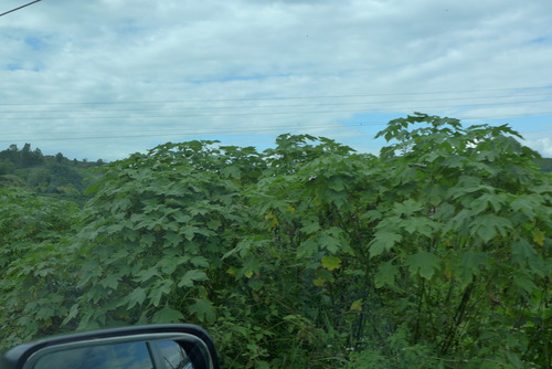 P1050681