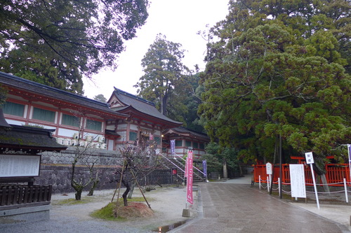 P1070324