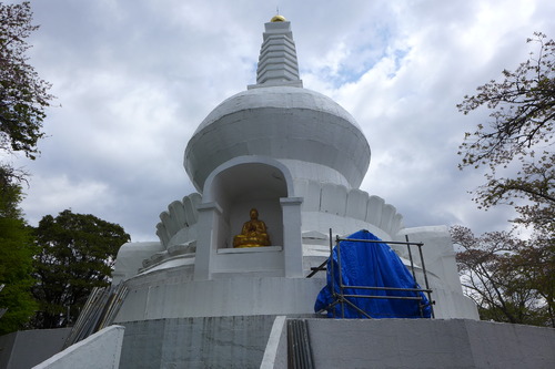 P1130196