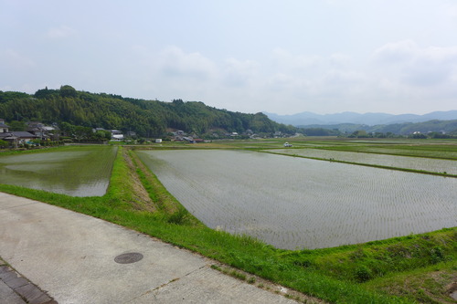 P1100801