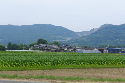 P1130760