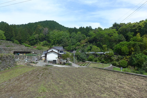 P1110242