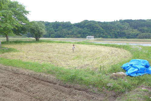 P1120864