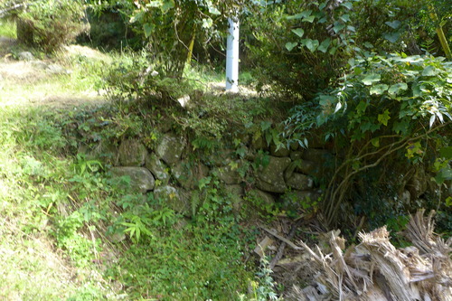 P1250751