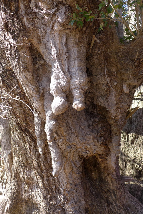 P1440520