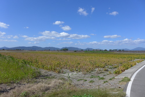 P1240282