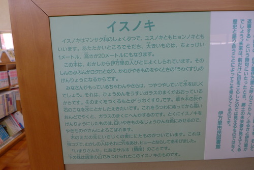 P1030665
