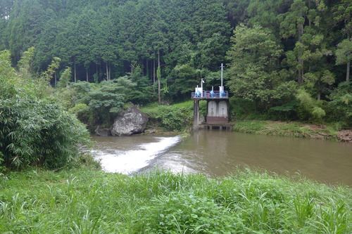 P1300352