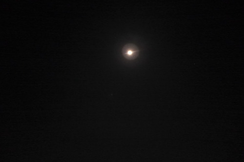P1060324