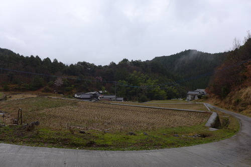 P1100129
