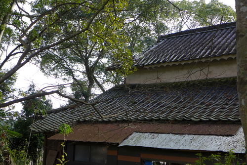P1030149