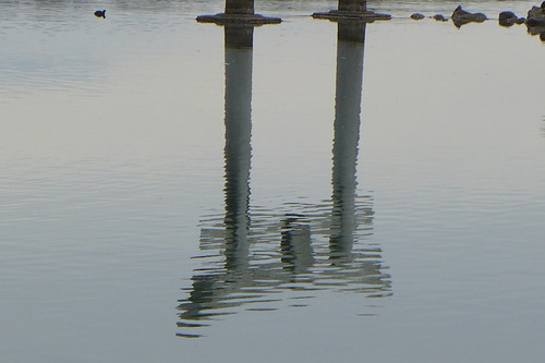 P1050519
