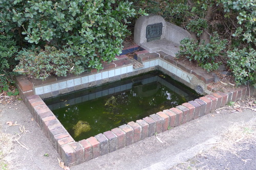 P1160810