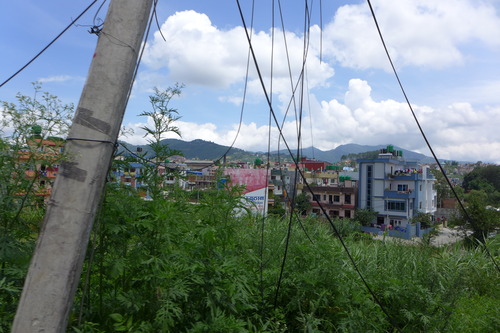 P1170529