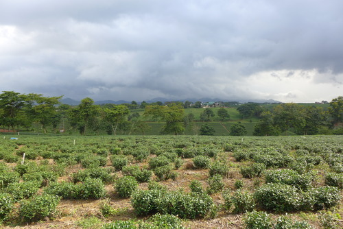 P1050689