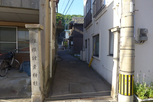 P1540168