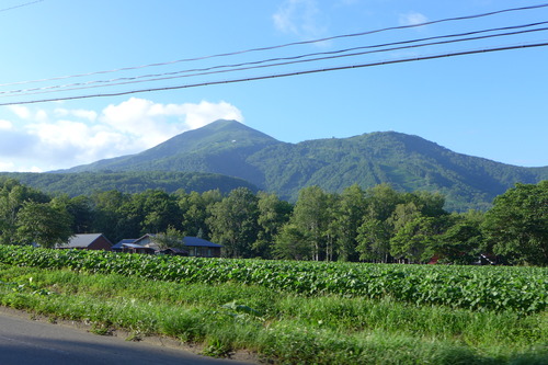 ニセコは極！美味しい！！2022年7月21日（木）ニセコアンヌプリ山麓ペンション　コットンファーム（オーナーシャフ水上武史ご夫妻）にて宿泊！
