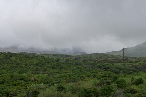 P1150141