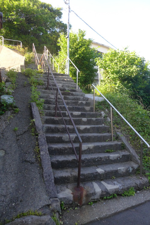 P1540158