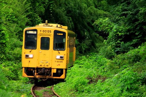 20250809 ? 肥本線　滝水１