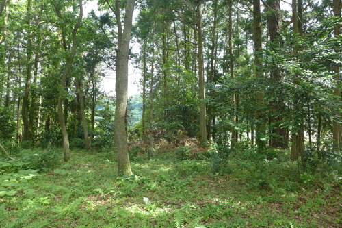 P1120901