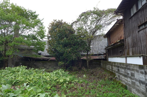 P1170794