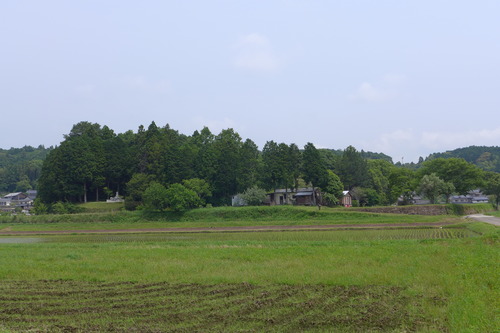P1100821