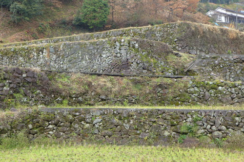 P1520554