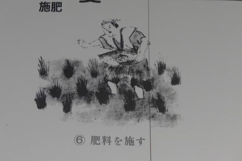 P1190475