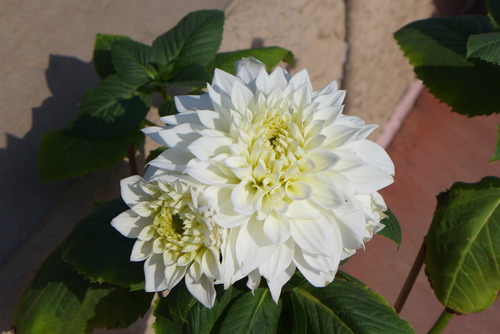 P1440907