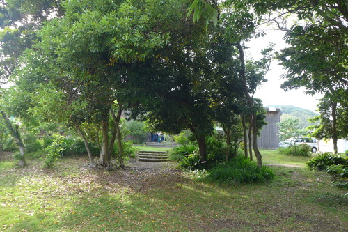 P1110036